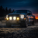 Raptor